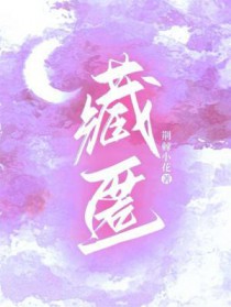 藏匿by词枝